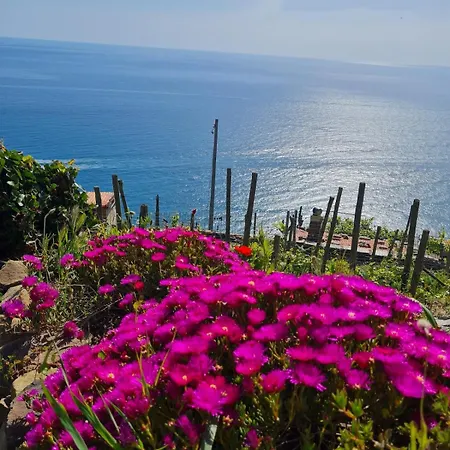 Allamani House Citra Апартаменты Портофино